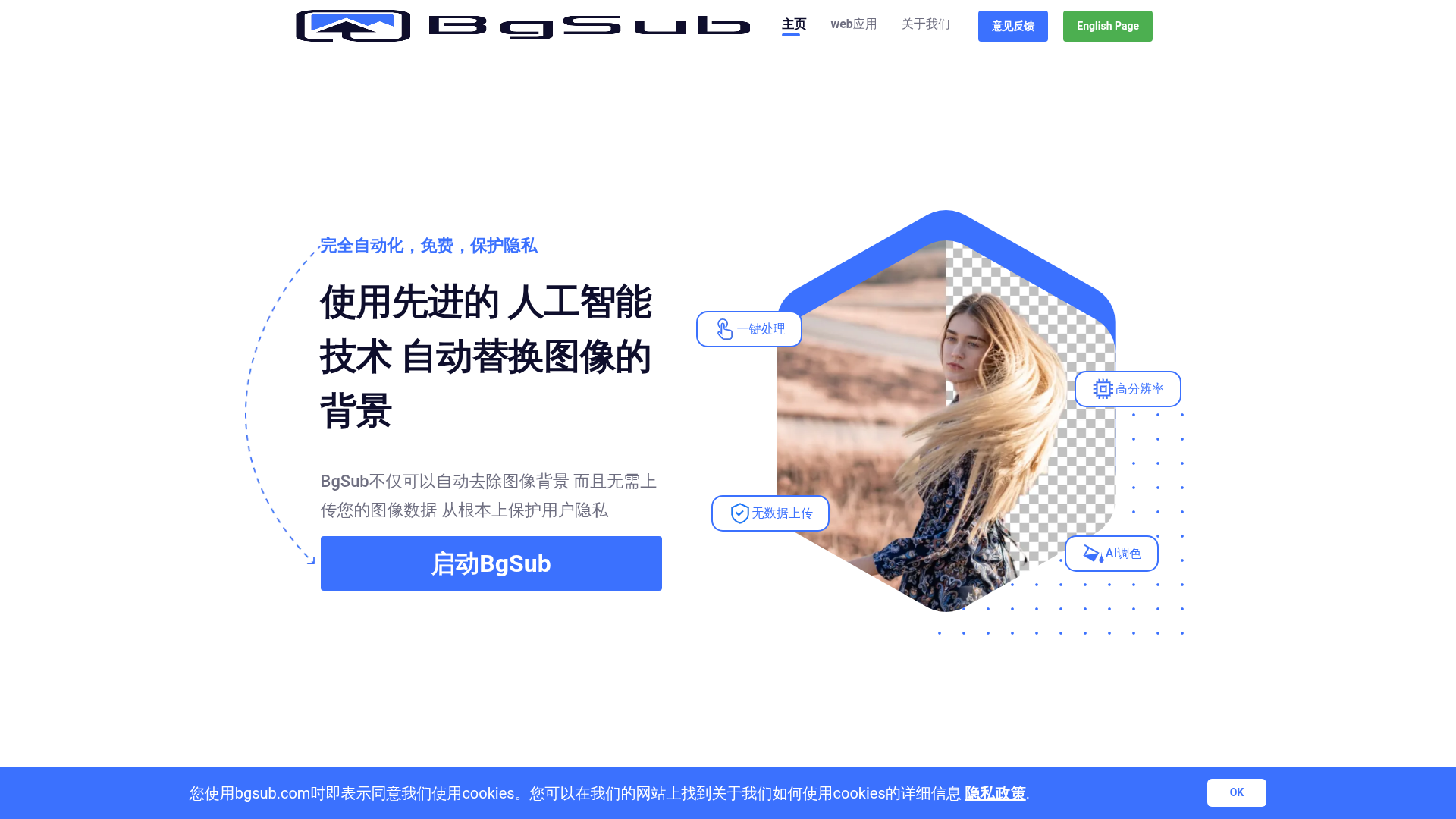 BgSub